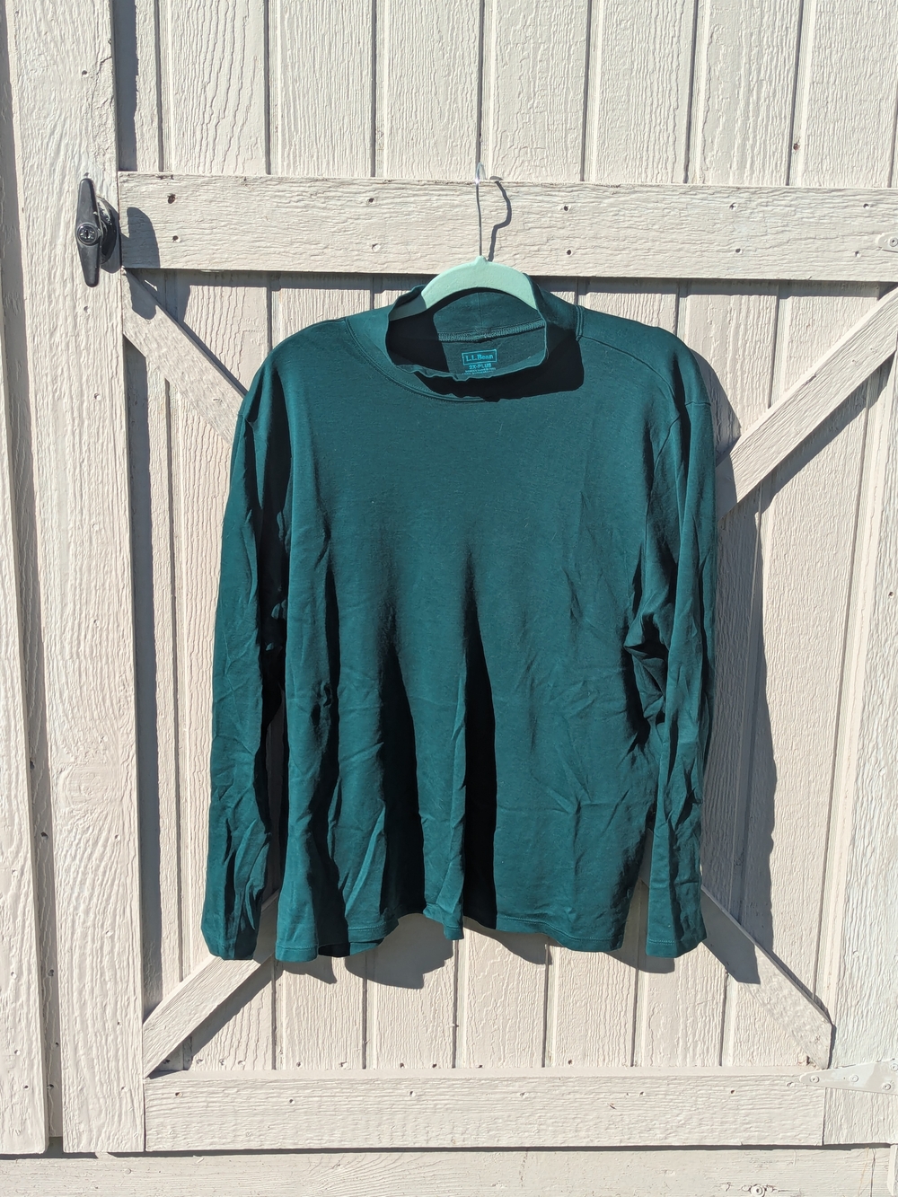 L.L. Bean Teal Long Sleeve Mock Neck Top
